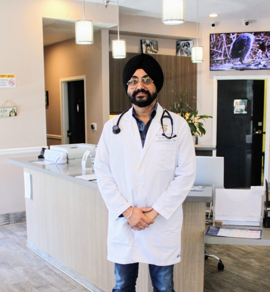 Dr. Rajinder Bajwa DVM MVSc (Pathology), Veterinarian at Central Valley Veterinary Hospital in Manteca, CA